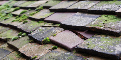 Birling Gap roof repair costs